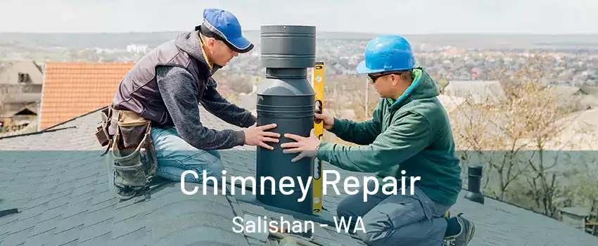 Chimney Repair Salishan - WA