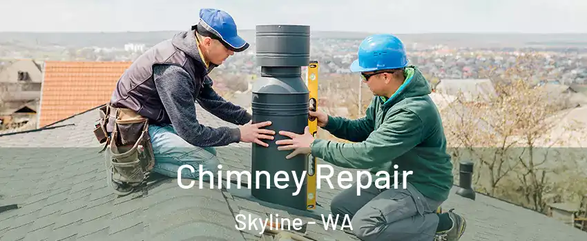 Chimney Repair Skyline - WA