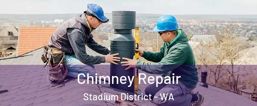 Chimney Repair Stadium District - WA