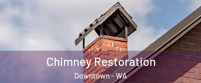 Chimney Restoration Downtown - WA