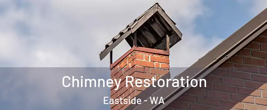 Chimney Restoration Eastside - WA