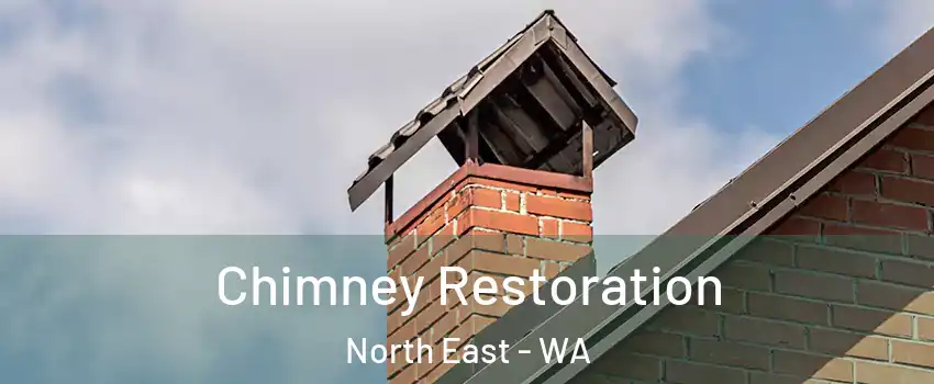 Chimney Restoration North East - WA