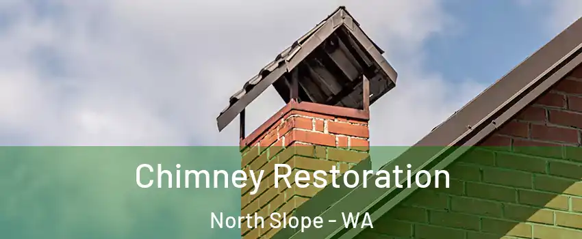 Chimney Restoration North Slope - WA