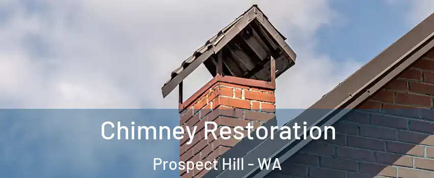 Chimney Restoration Prospect Hill - WA