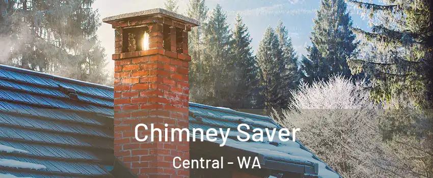 Chimney Saver Central - WA