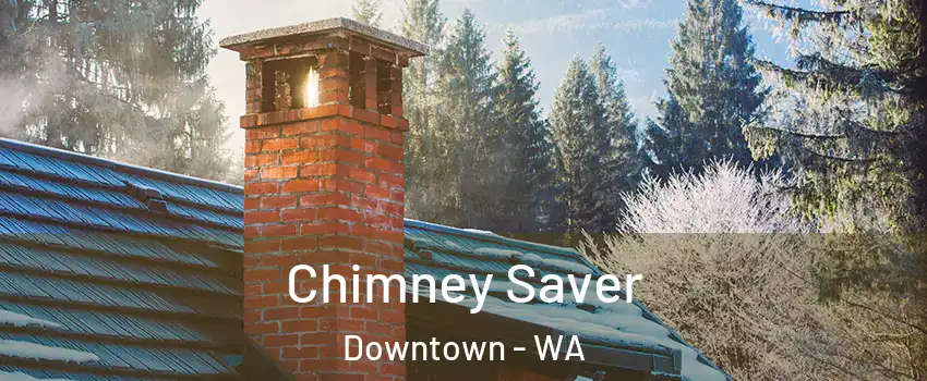 Chimney Saver Downtown - WA