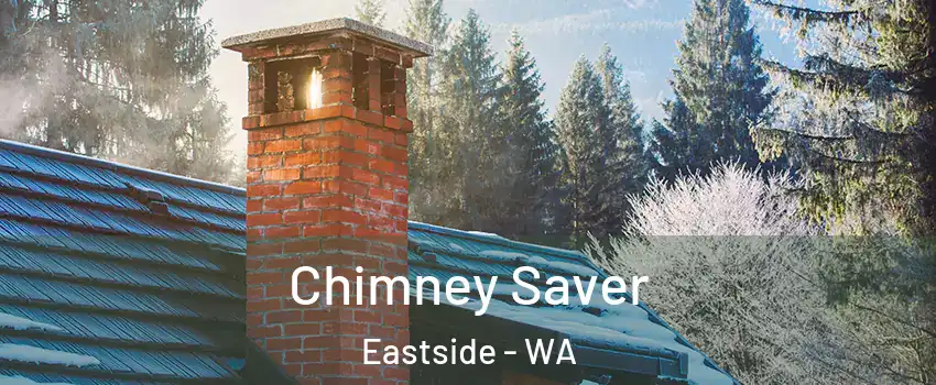 Chimney Saver Eastside - WA