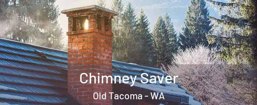 Chimney Saver Old Tacoma - WA