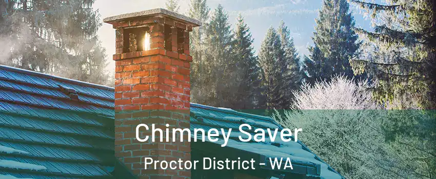 Chimney Saver Proctor District - WA