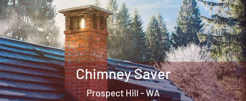 Chimney Saver Prospect Hill - WA