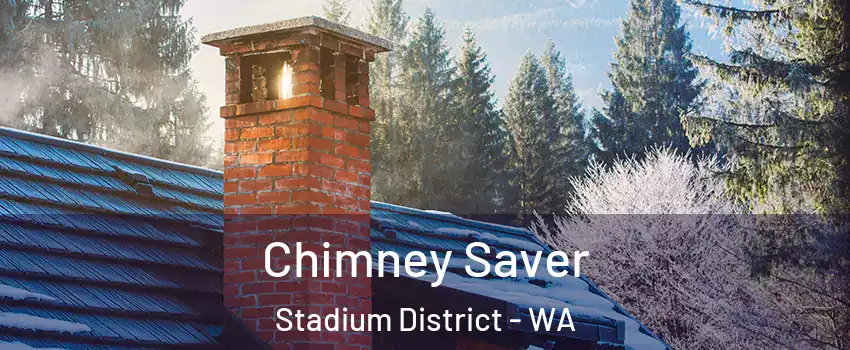 Chimney Saver Stadium District - WA