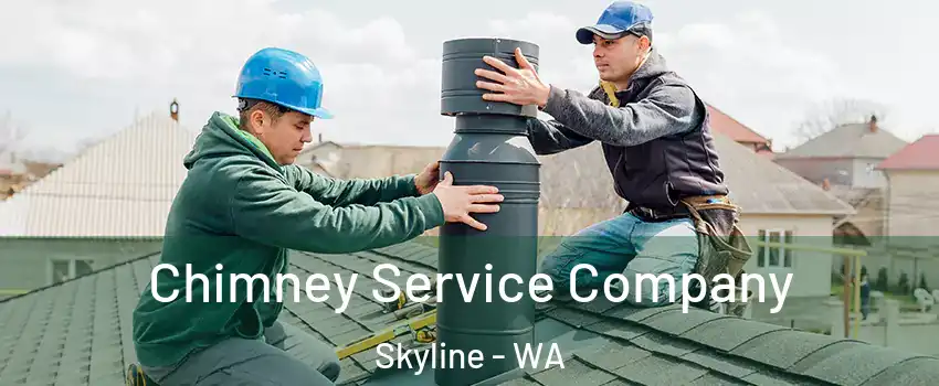 Chimney Service Company Skyline - WA