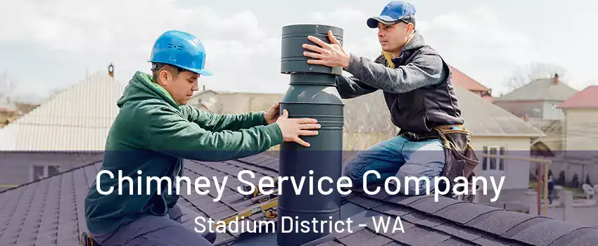 Chimney Service Company Stadium District - WA