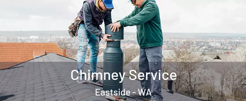 Chimney Service Eastside - WA