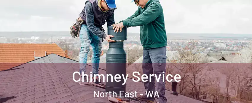 Chimney Service North East - WA