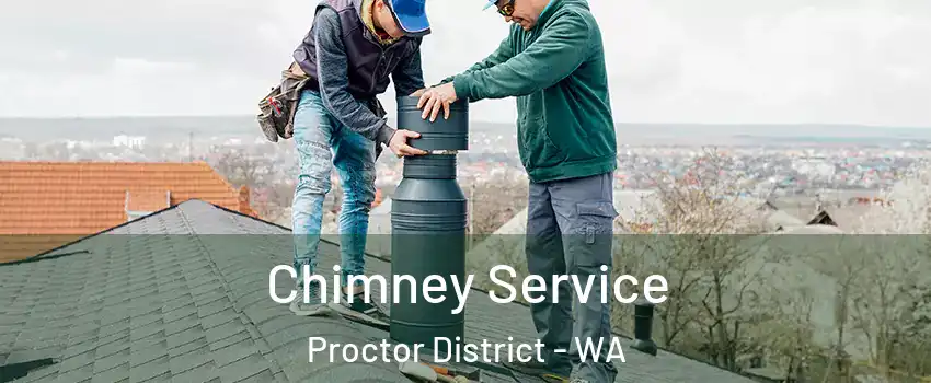 Chimney Service Proctor District - WA