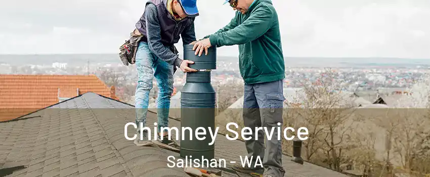 Chimney Service Salishan - WA