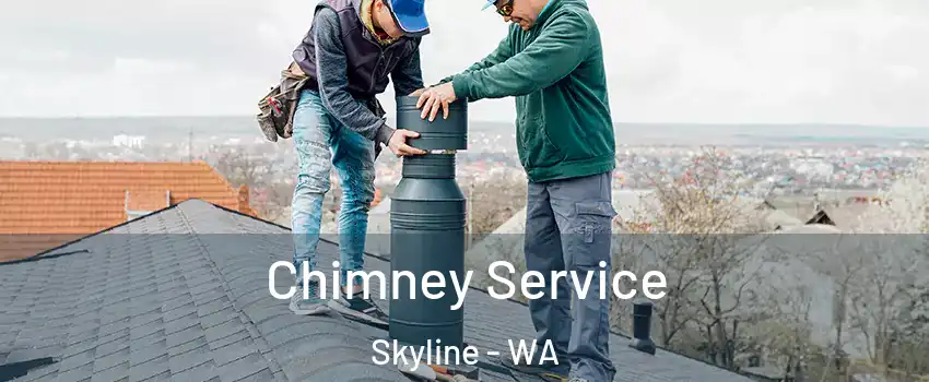 Chimney Service Skyline - WA