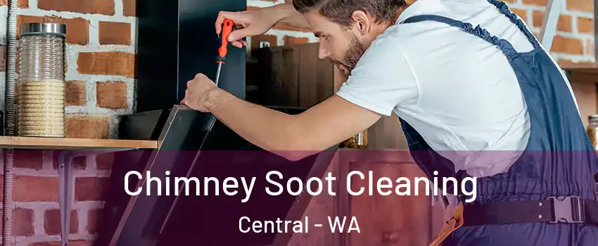 Chimney Soot Cleaning Central - WA