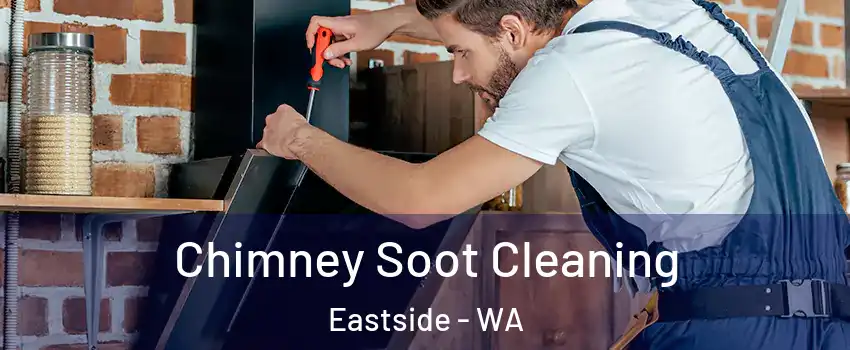 Chimney Soot Cleaning Eastside - WA