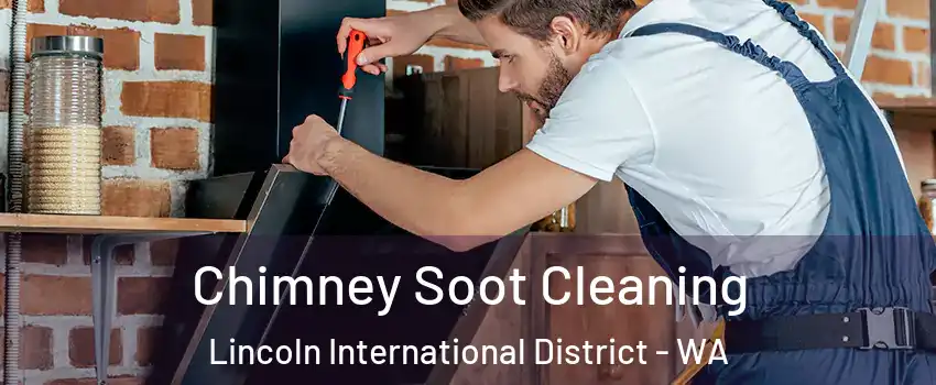 Chimney Soot Cleaning Lincoln International District - WA