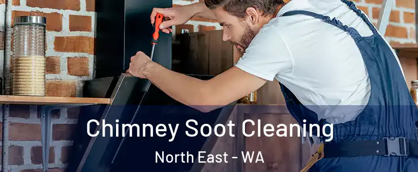 Chimney Soot Cleaning North East - WA