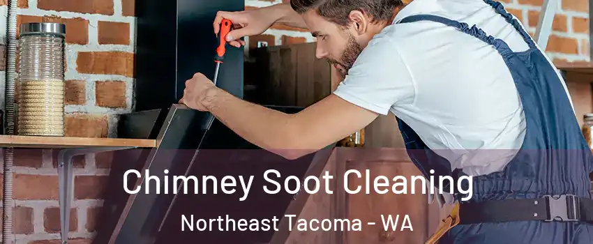 Chimney Soot Cleaning Northeast Tacoma - WA