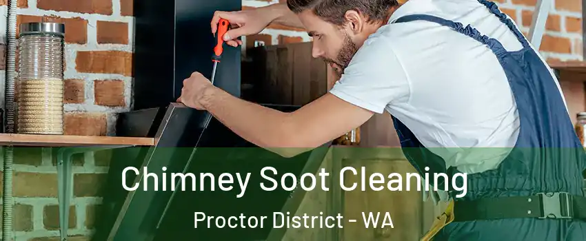 Chimney Soot Cleaning Proctor District - WA