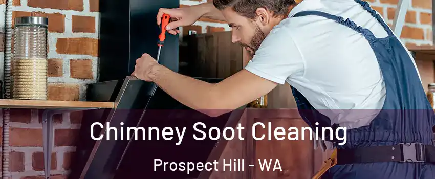 Chimney Soot Cleaning Prospect Hill - WA