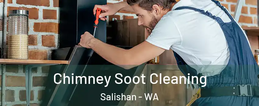 Chimney Soot Cleaning Salishan - WA