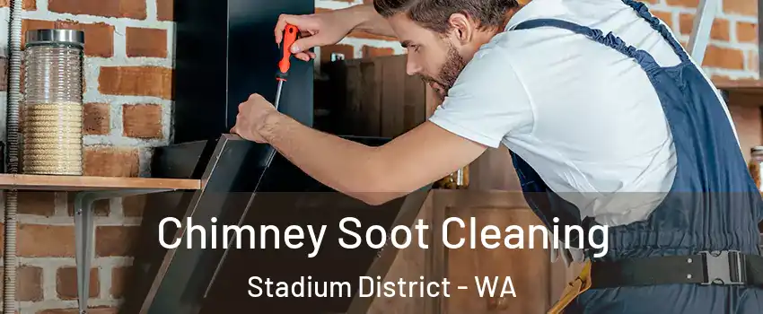 Chimney Soot Cleaning Stadium District - WA