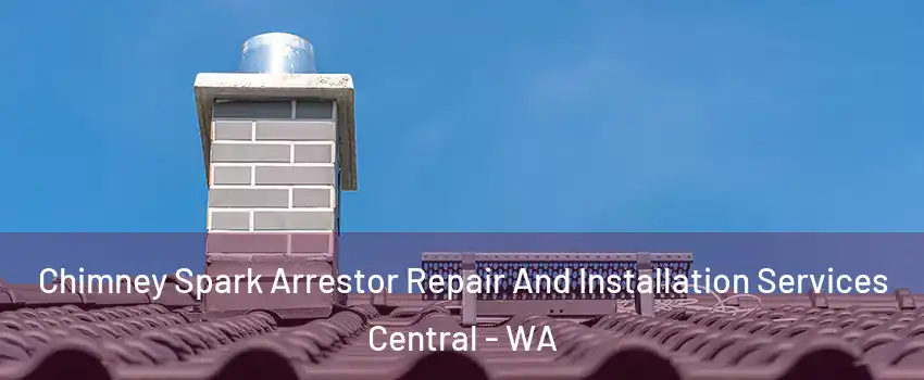 Chimney Spark Arrestor Repair And Installation Services Central - WA