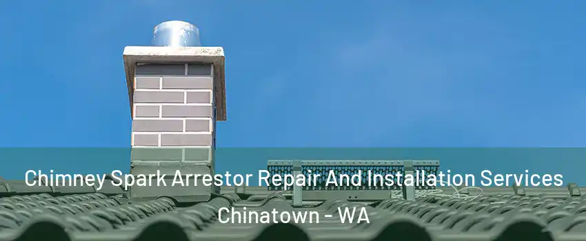 Chimney Spark Arrestor Repair And Installation Services Chinatown - WA