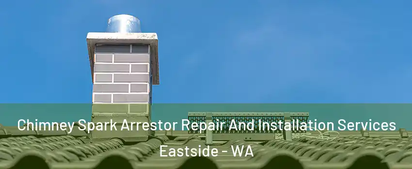 Chimney Spark Arrestor Repair And Installation Services Eastside - WA