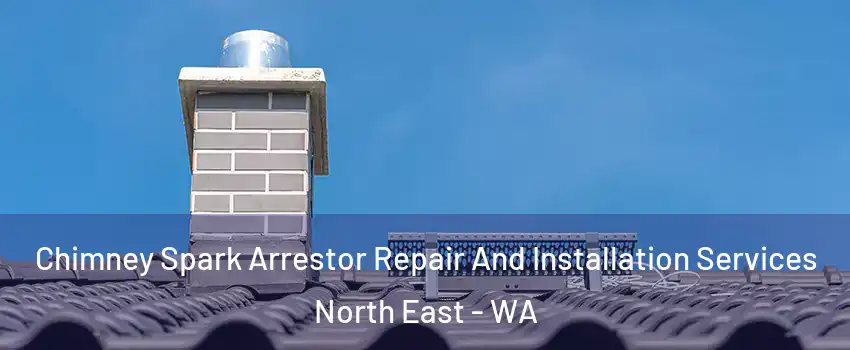 Chimney Spark Arrestor Repair And Installation Services North East - WA