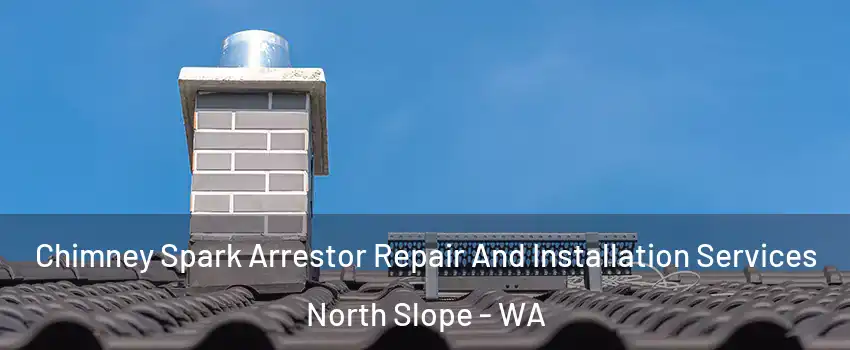 Chimney Spark Arrestor Repair And Installation Services North Slope - WA