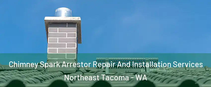 Chimney Spark Arrestor Repair And Installation Services Northeast Tacoma - WA