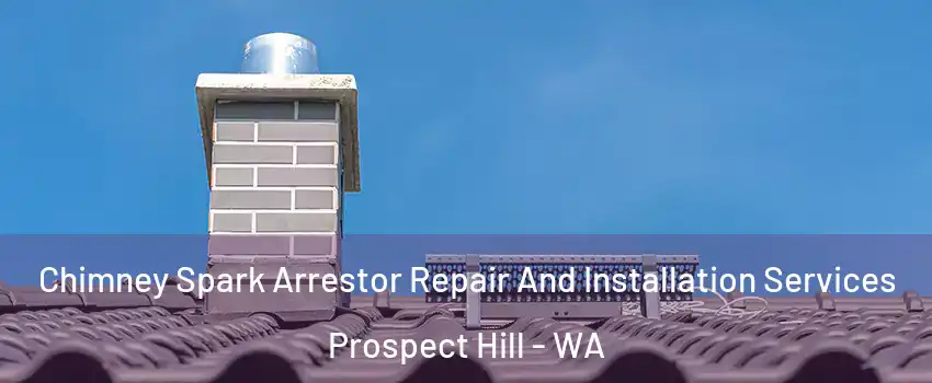 Chimney Spark Arrestor Repair And Installation Services Prospect Hill - WA