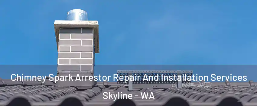 Chimney Spark Arrestor Repair And Installation Services Skyline - WA