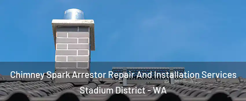 Chimney Spark Arrestor Repair And Installation Services Stadium District - WA