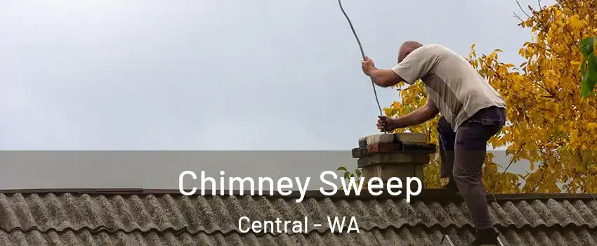 Chimney Sweep Central - WA