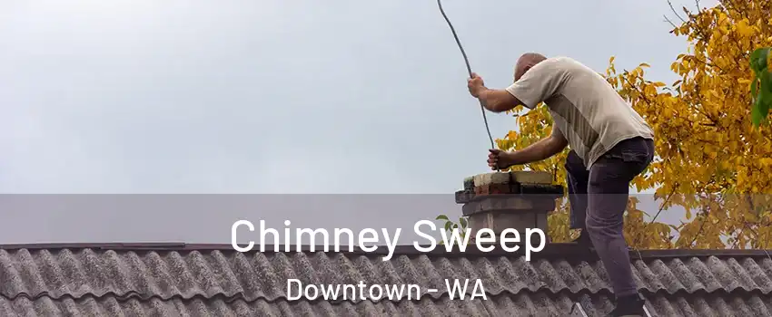 Chimney Sweep Downtown - WA