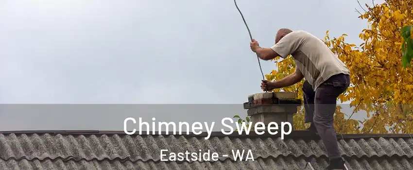 Chimney Sweep Eastside - WA