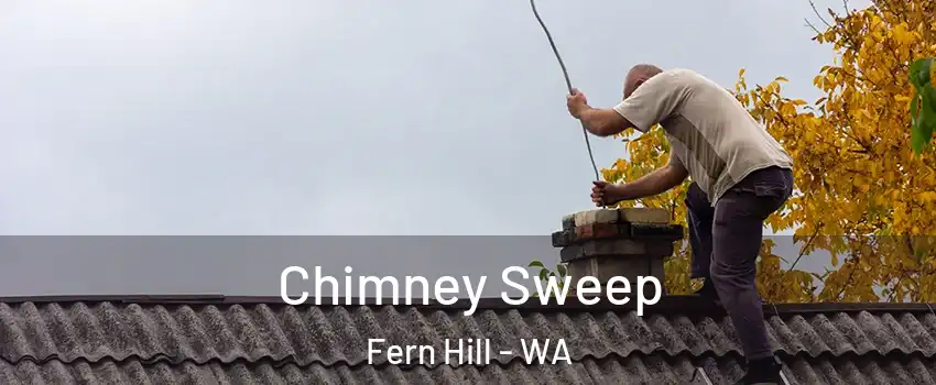 Chimney Sweep Fern Hill - WA