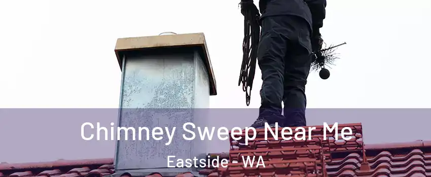 Chimney Sweep Near Me Eastside - WA