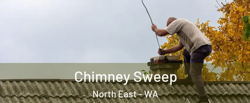 Chimney Sweep North East - WA