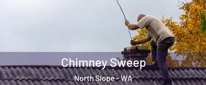 Chimney Sweep North Slope - WA