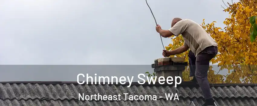 Chimney Sweep Northeast Tacoma - WA