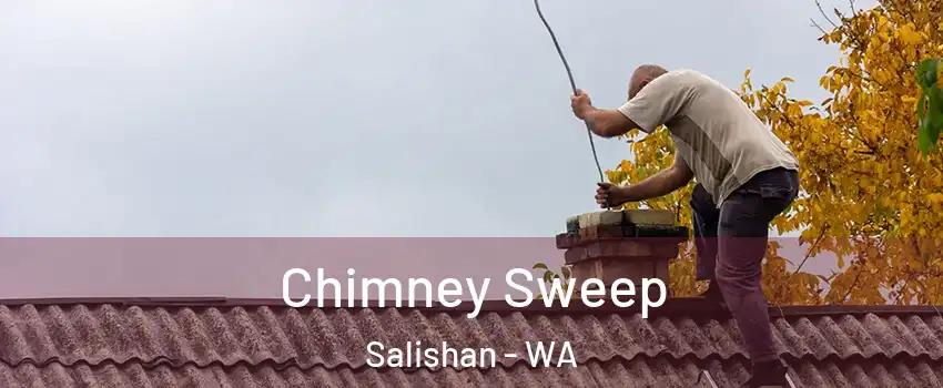 Chimney Sweep Salishan - WA