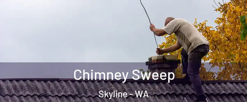 Chimney Sweep Skyline - WA